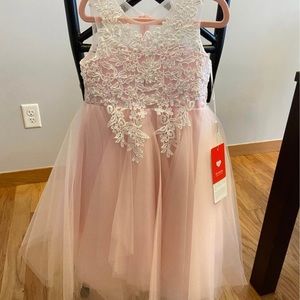 Tulle & Lace Blushing Pink Dress